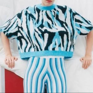 Zara Zebra Short Sleeve Sweater
